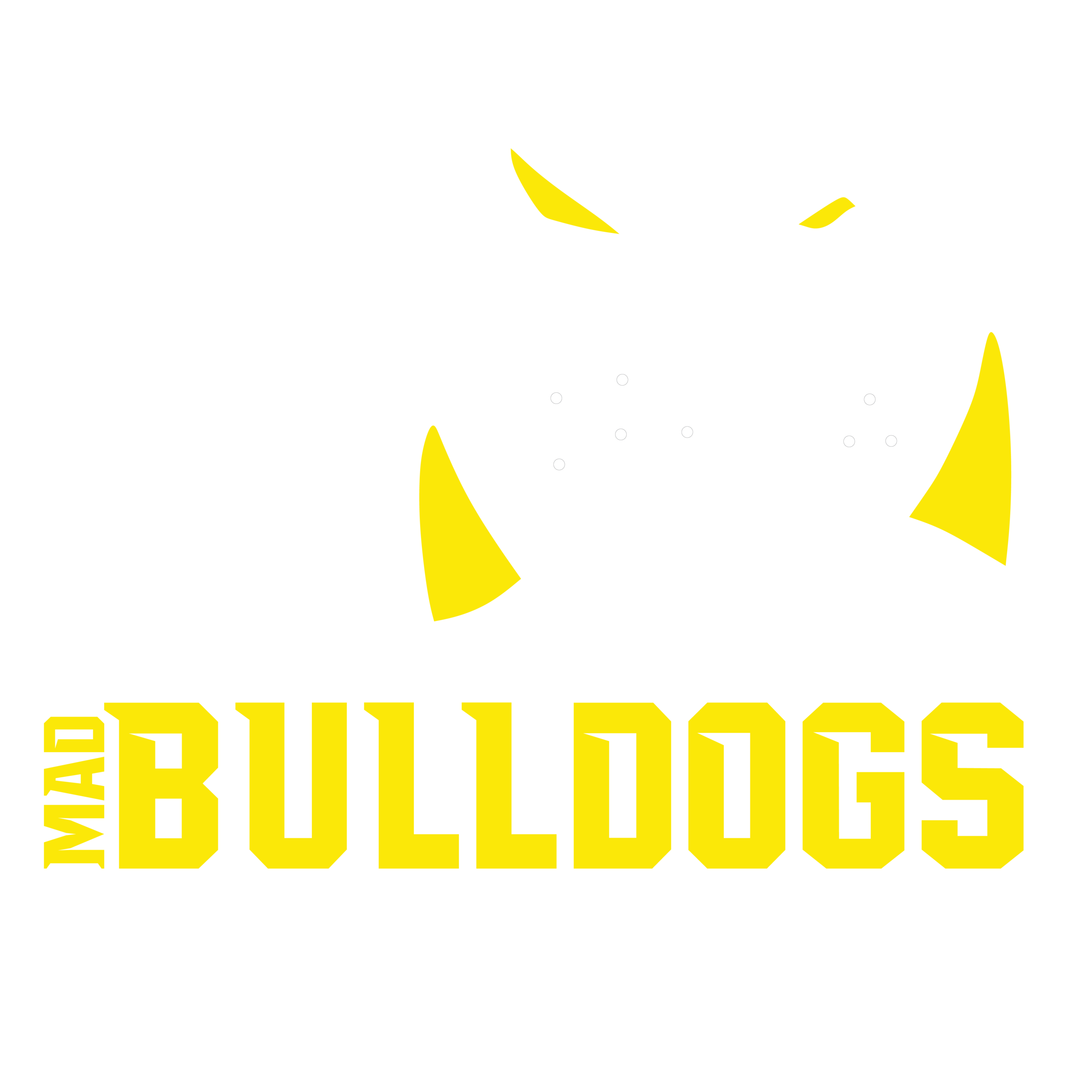 MAD BULLDOGS